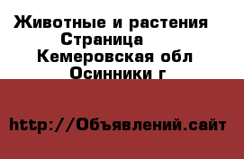  Животные и растения - Страница 13 . Кемеровская обл.,Осинники г.